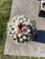 Preview: Turbinicarpus hoferi
